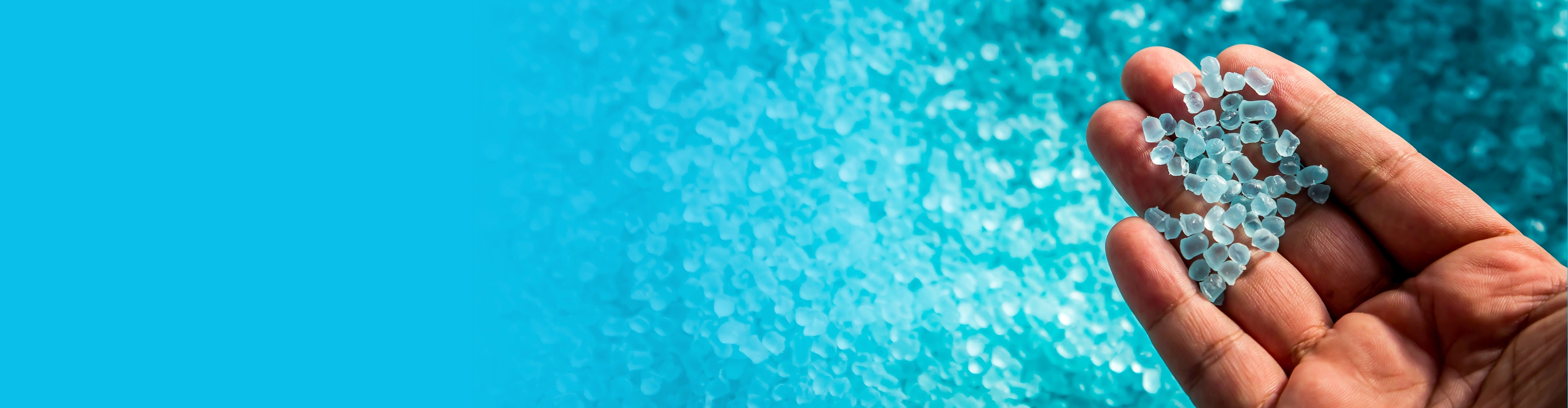 banner Bionsen dedicato alla sostenibilità amnbientale